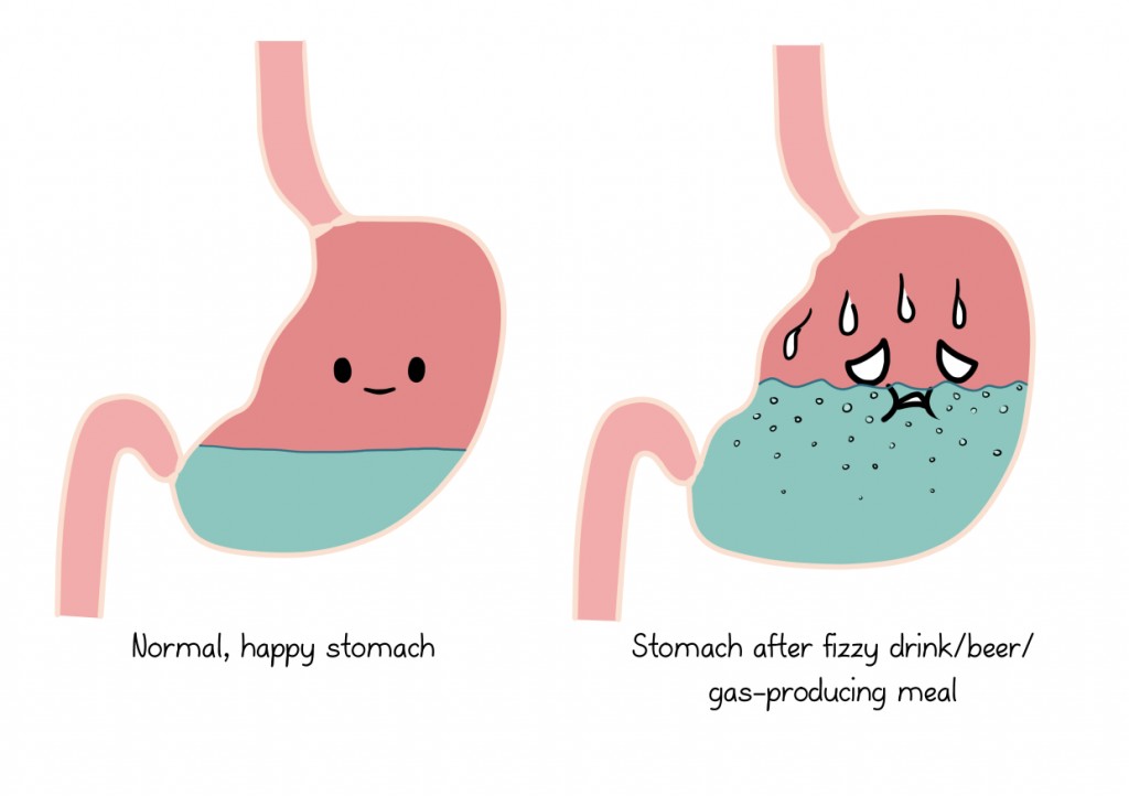 i-can-t-burp-the-illustrated-guide-behind-the-prop-door